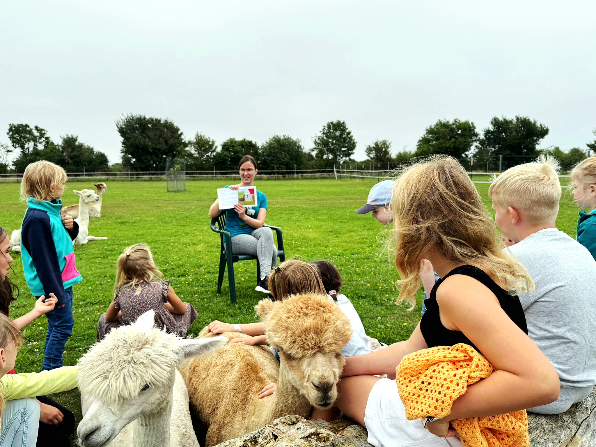 Elisabeth Gottschall gibt Kinderbuchlesung mit Alpakas auf Alpakaweide