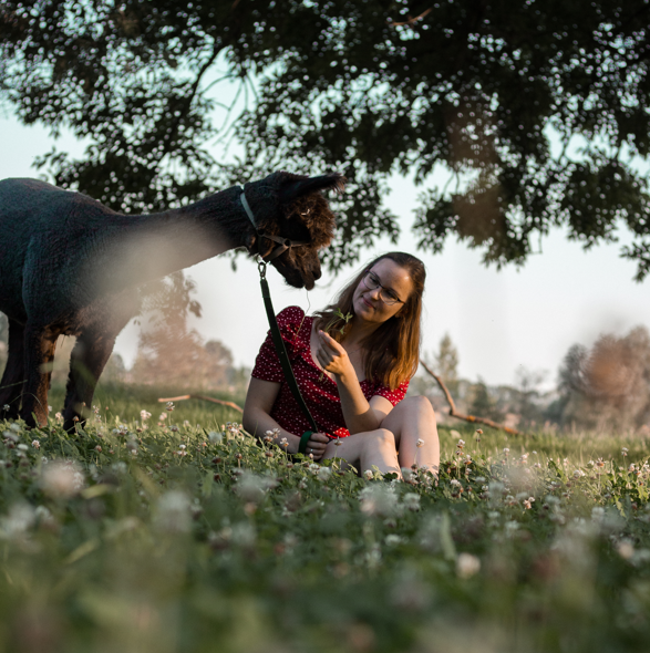 Elisabeth Gottschall mit Alpaka im Gras