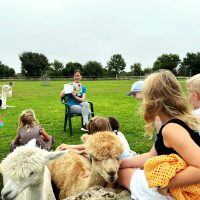 Elisabeth Gottschall gibt Kinderbuchlesung mit Alpakas auf Alpakaweide