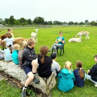 Kinderbuchlesung mit Elisabeth Gottschall auf der Alpakaweide