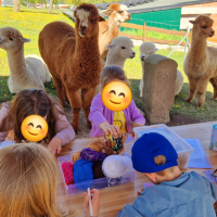 Kinder basteln Alpaka-Lesezeichen auf der Alpakaweide