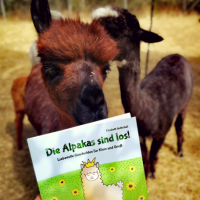 Alpakas schnuppern am Kinderbuch "Die Alpakas sind los!"