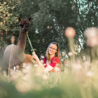 Elisabeth Gottschall mit Alpaka im Gras sitzend