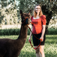 Elisabeth Gottschall mit Alpaka an der Leine