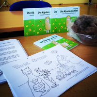 Schulbesuch von Elisabeth Gottschall mit ihrem Kinderbuch "Die Alpakas sind los!"